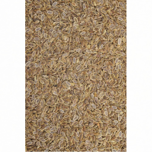 Dillfrüchte 100g, 100 g, Hofapotheke St. Afra