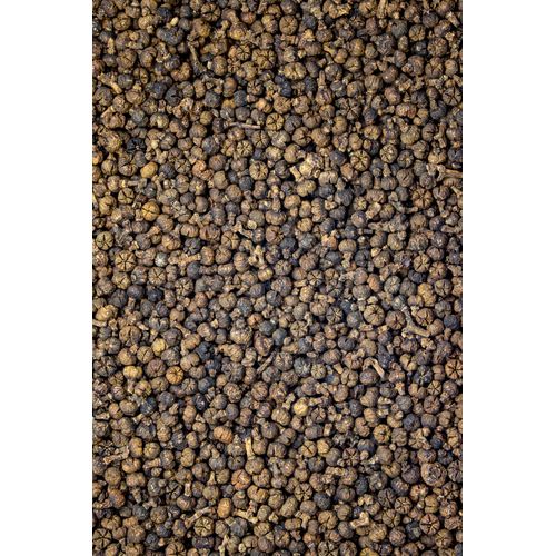 Stinkeschenfrüchte, vorbehandelt 250g, 250 g, Hofapotheke St. Afra