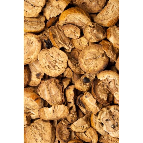 Paternosterbaumfrucht, vorbehandelt 250g, 250 g, Hofapotheke St. Afra
