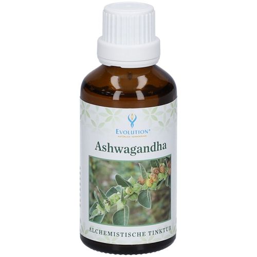 Alchem.tkt KR Ashwagandha 50 ml Tinktur, 50 ml, Evolution