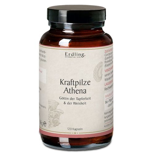 Erdling BIO Kraftpilze Athena – Vitalpilz Synergetikum 120 St Kapseln, 120 stk, Erdling.