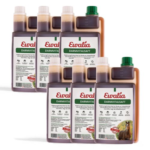 Ewalia Darmvitalsaft für Pferde Sechserpack 6x1 l, 6 l, Ewalia