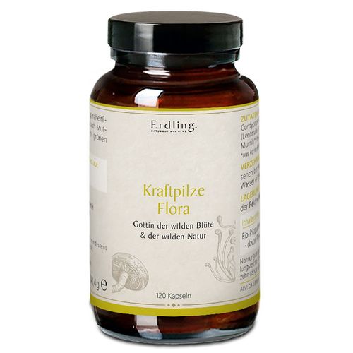 Erdling BIO Kraftpilze Flora &ndash; Vitalpilz Synergetikum 120 St Kapseln, 120 stk, Erdling.