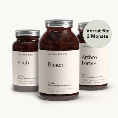 ALL IN ONE - Arthro-Paket (Kapseln), 660 stk, Liebscher & Bracht