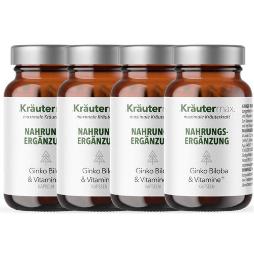 Ginkgo Biloba und Vitamine Kapseln 4 x 60 St&uuml;ck AKTION, 240 Stk., Kr&auml;utermax