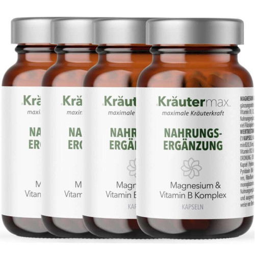 Magnesium mit Vitamin B Komplex Kapseln 4 x 60 St&uuml;ck AKTION, 240 Stk., Kr&auml;utermax